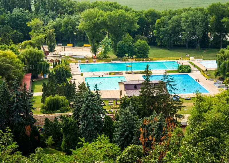 Budowa basenów ogrodowych: basen w ogrodzie przy domu, widok z góry